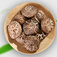 陕西花菇高端食用菌规模化种植项目