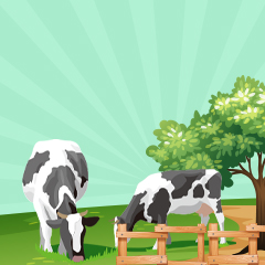 四川奶牛养殖扩规项目