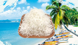 海南鲜椰丝健康营养食品项目